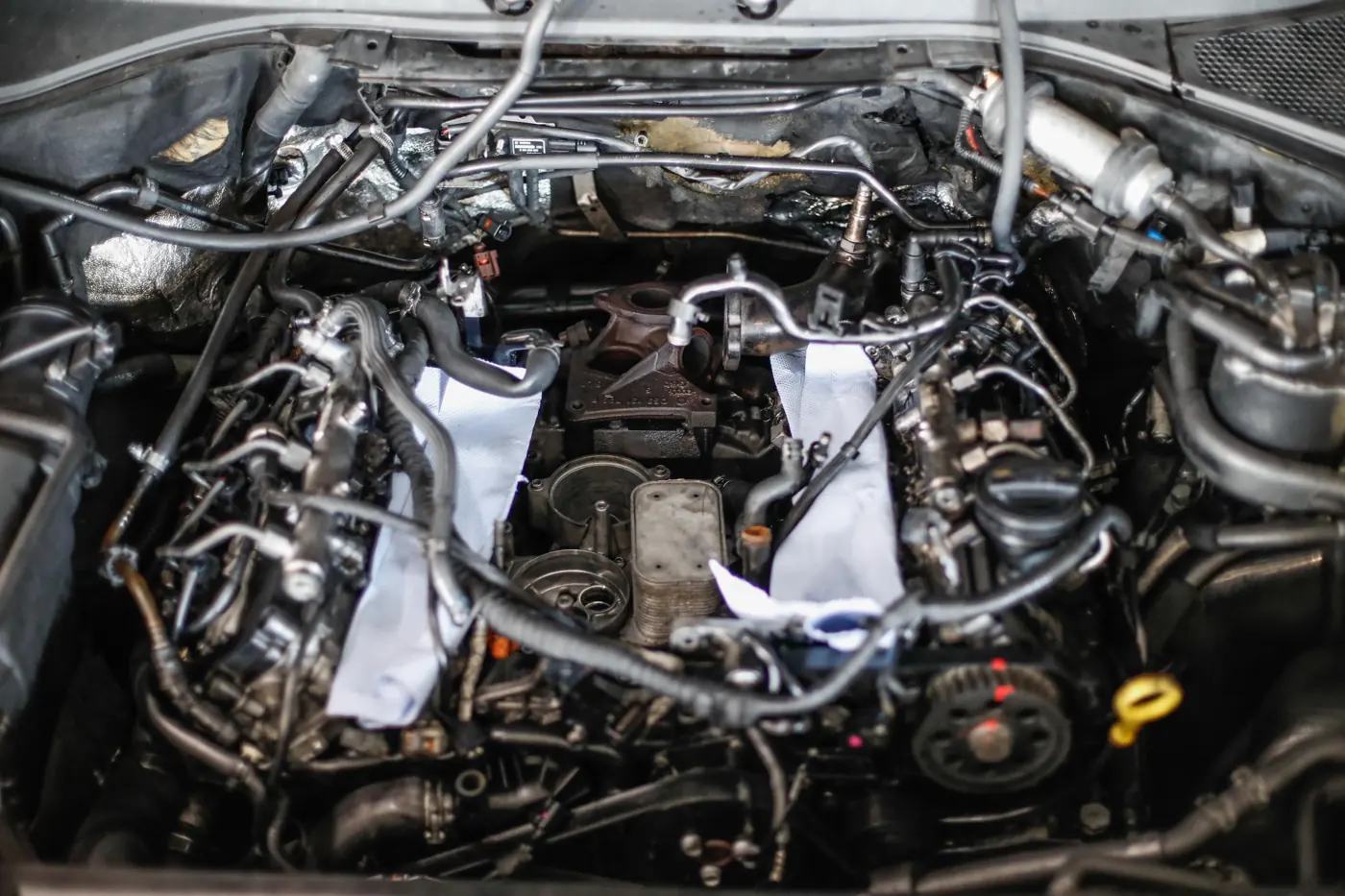 Auto-Flüssigkeiten prüfen